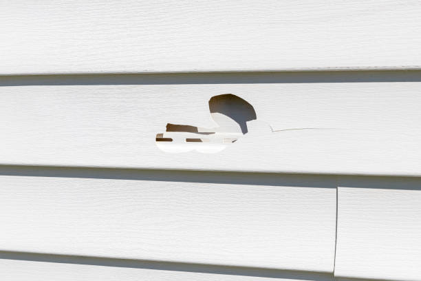 Best Custom Trim and Detailing for Siding  in USA